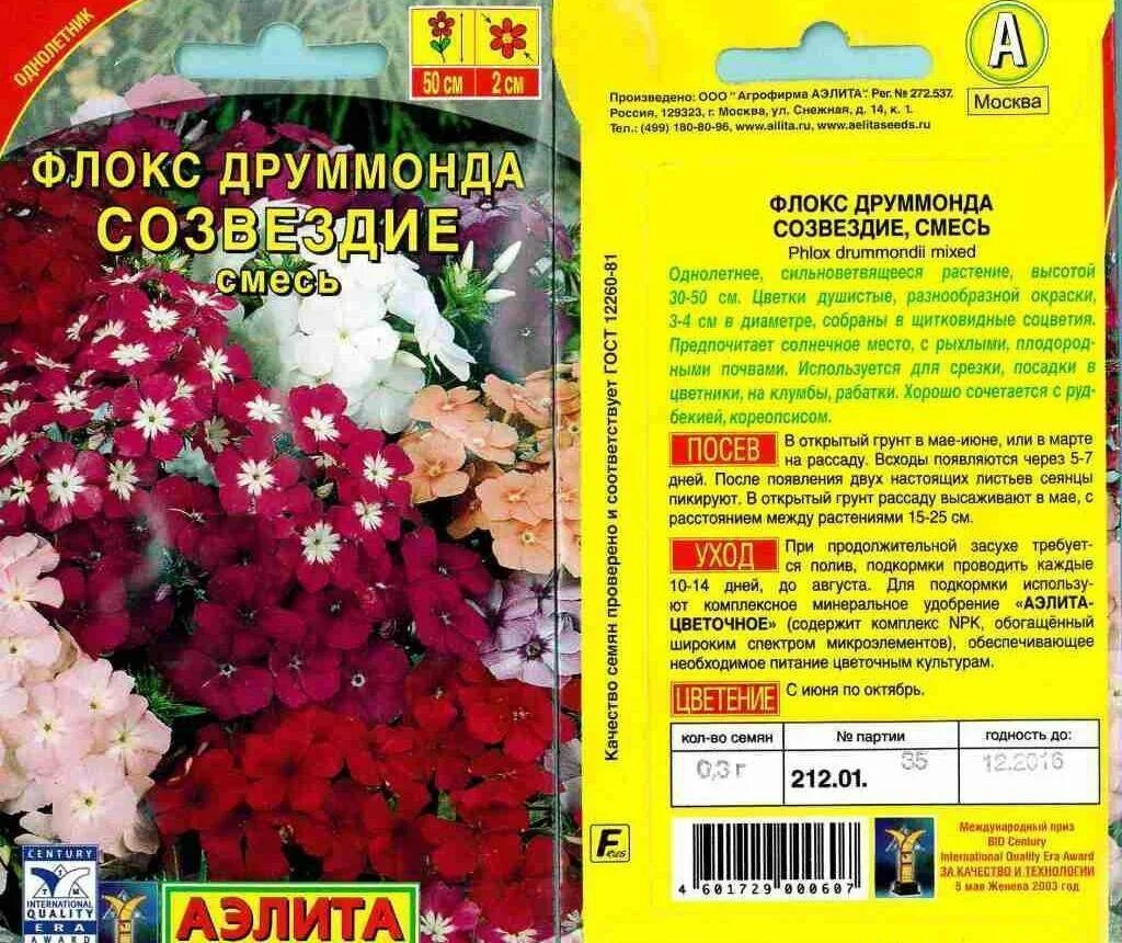 Как сеять флокс друммонда на рассаду. Флоксы друммонда однолетние. флокс друммонда смесь. флоксы друммонда однолетние семена. флоксы карликовые однолетние.