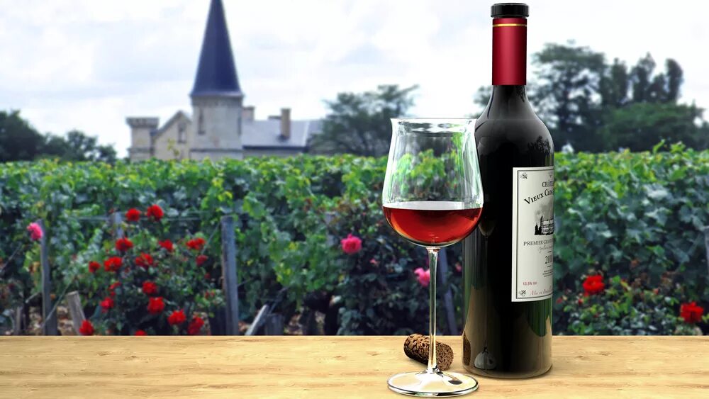 Вине винный. Бордо Франция винодельни. Французское вино Bordeaux. Вино Франция бордеаукс. Шато Басак бордо.