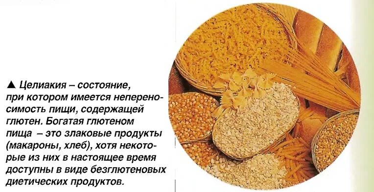 Как проявляется непереносимость глютена симптомы. Усвоение глютена.