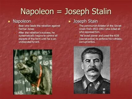 Сталин иосиф виссарионович дети