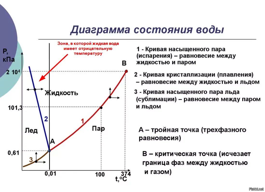 График состояния вещества физика. Диаграмма фазового состояния воды. Фазовая диаграмма ВРЛВ. Фазовая диаграмма воды объяснение. График фазовой диаграммы воды.