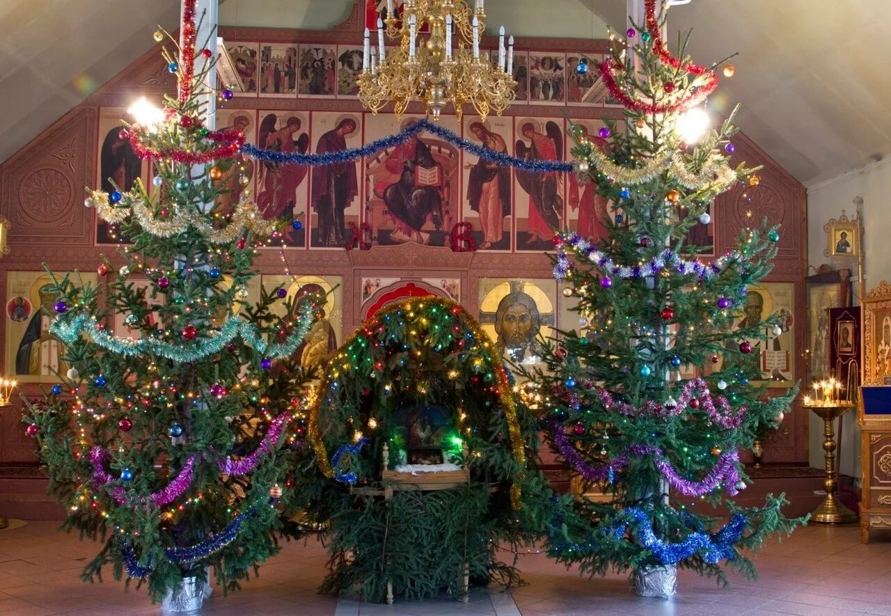 Елка в храме. Рождество Церковь. Рождественская елка православная. Рождество в храме.