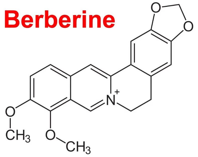 Берберин что это такое. Берберина бисульфат. Хром берберин. Берберин алкалоид. Берберин таблетки.