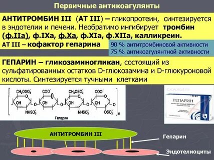 Гепарин биологическая роль