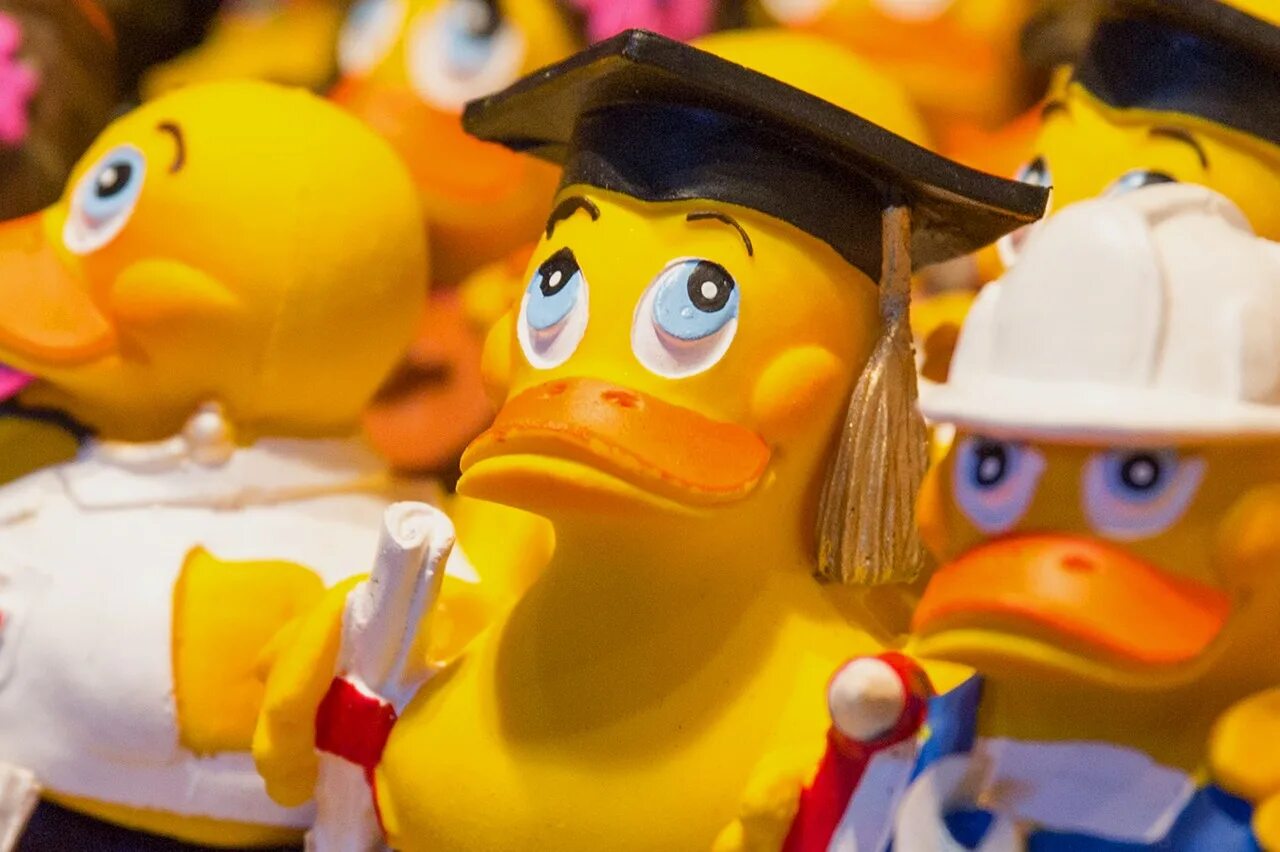 Make a duck