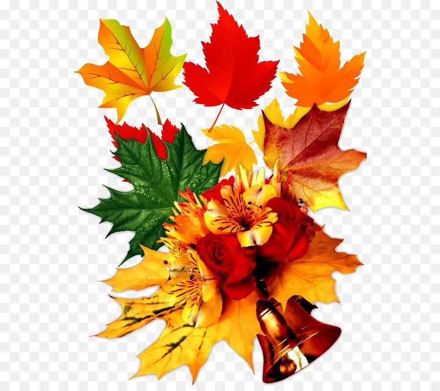 День знаний. Осенние цветы на прозрачном фоне. С днем знаний надпись. Осенние листья школа. Осенний букет на прозрачном фоне.