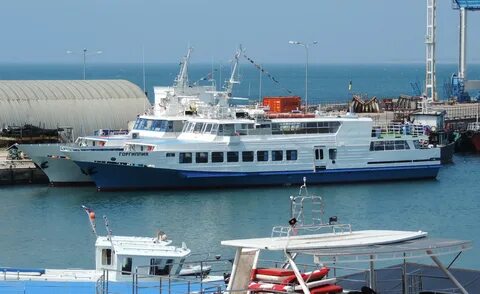 Морские прогулки анапа горгиппия