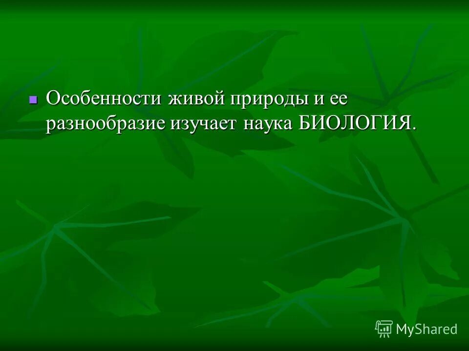 Наука изучающая разнообразные явления природы это. Наука изучающая разнообразные явления природы это