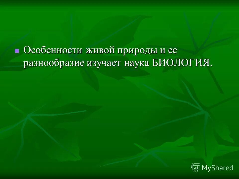 Какая область биологии изучает растения