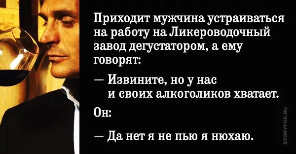 Пришел мужик устраиваться на ликеро. Мужик пришёл устраиваться на работу. Анекдот про дегустатора. Анекдот приходит мужик устраиваться на работу на ликероводочный.