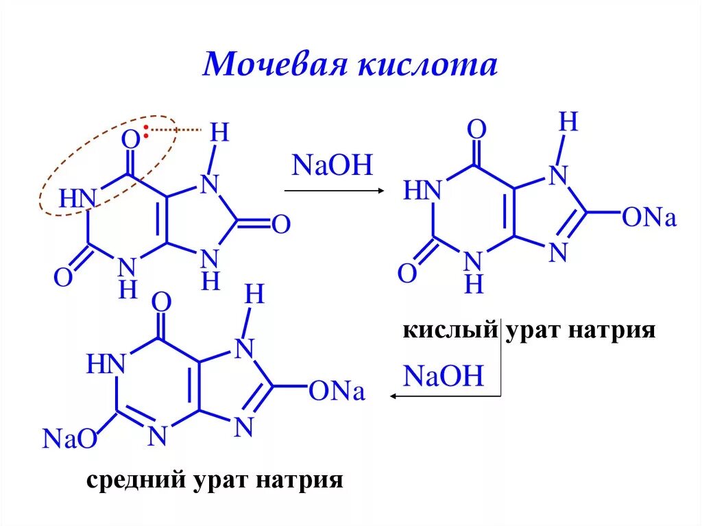 Химические свойства мочевой кислоты реакции. Таутомерные формы мочевой кислоты. Физико химические свойства мочевой кислоты биохимия. Формула образования мочевой кислоты.