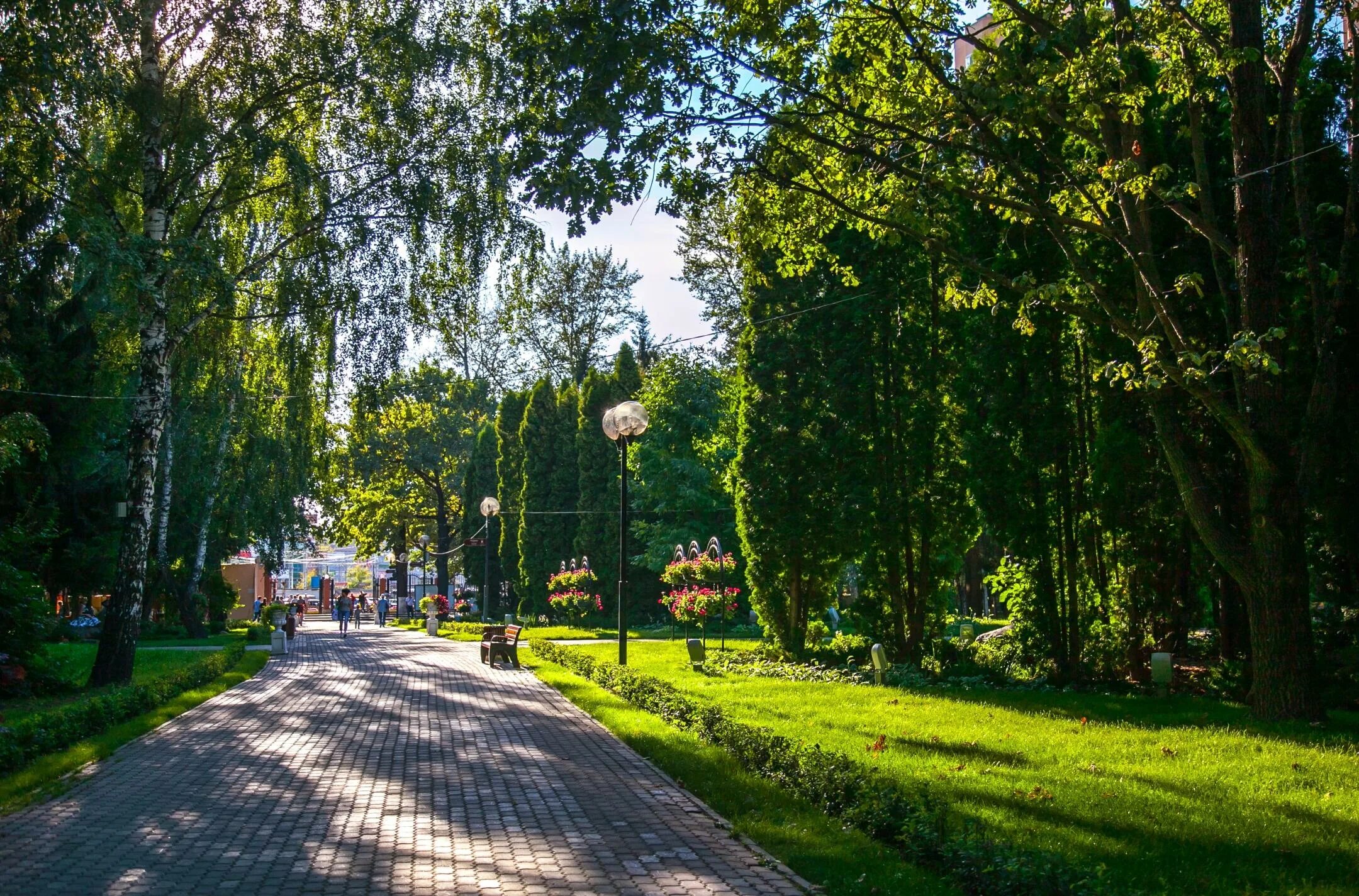 Парк московской области сайт