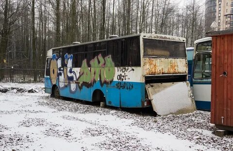 Автобус 295 спб