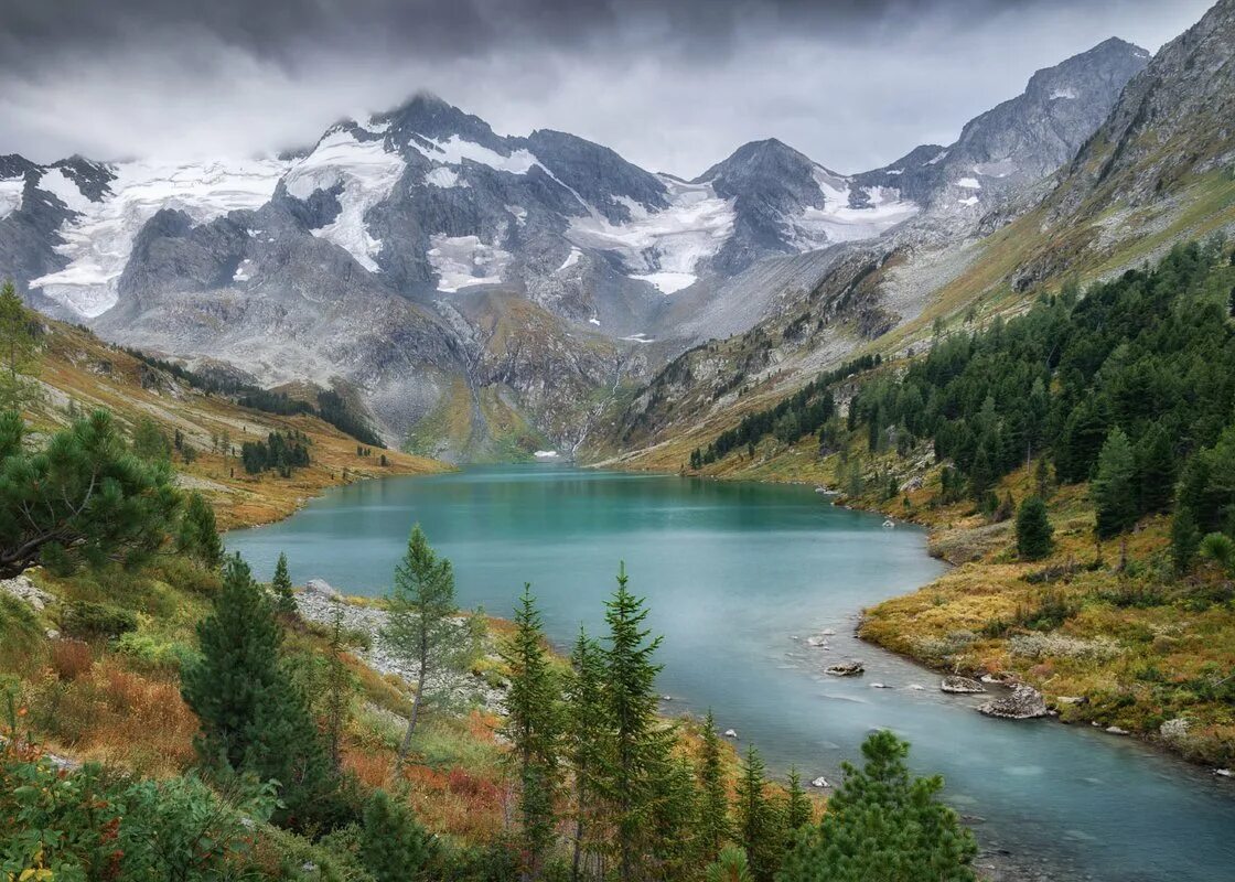 особенности горного алтая. озеро кучерла горный алтай. мультинские озера лето. алтай. особенности горного алтая.