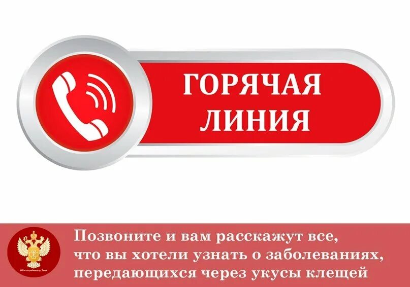 Подключить горячую линию