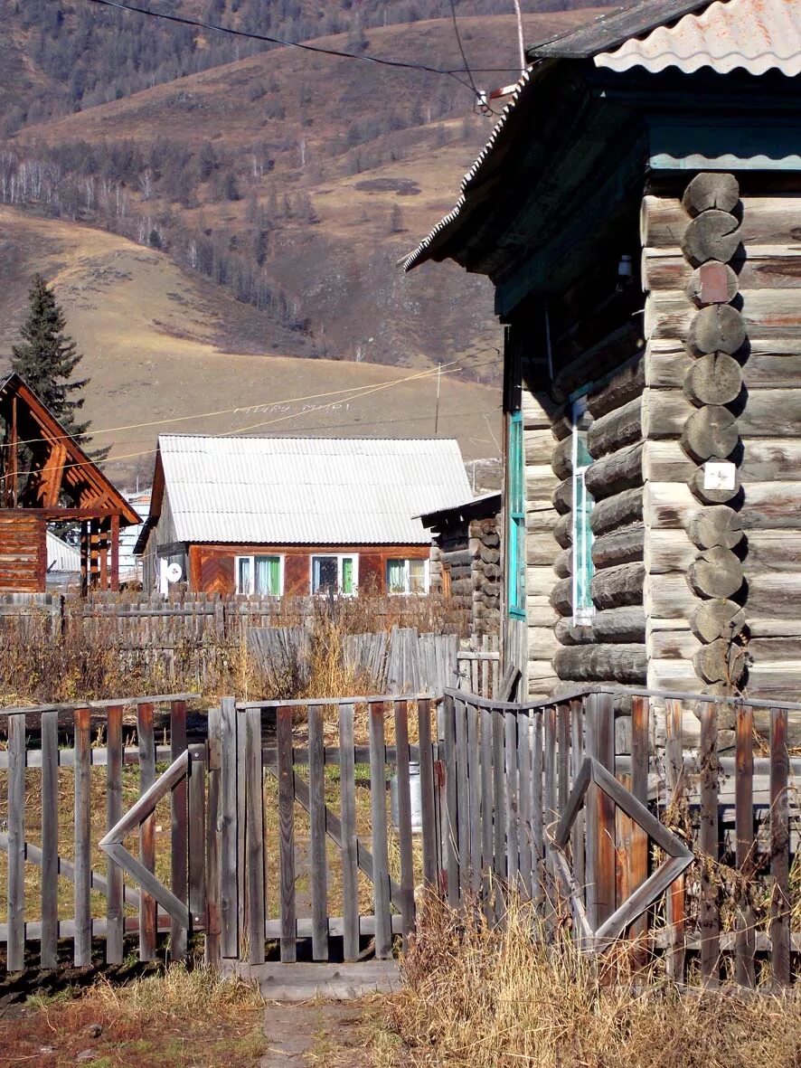 Усть кокса купить. Алтай село Усть-кокса. Село Усть кокса Республика Алтай. Горный Алтай село Усть кокса. Горный Алтай Усть кокса достопримечательности.