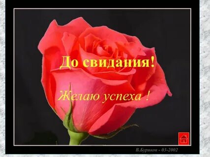 До свидания дорогой