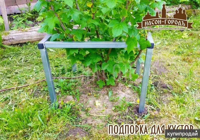 Как сделать из труб для смородины. Кустодержатель разборный (металл+береза h670*ш600). подпорка для кустарников. ограждение для кустов смородины. опоры для кустов смородины.