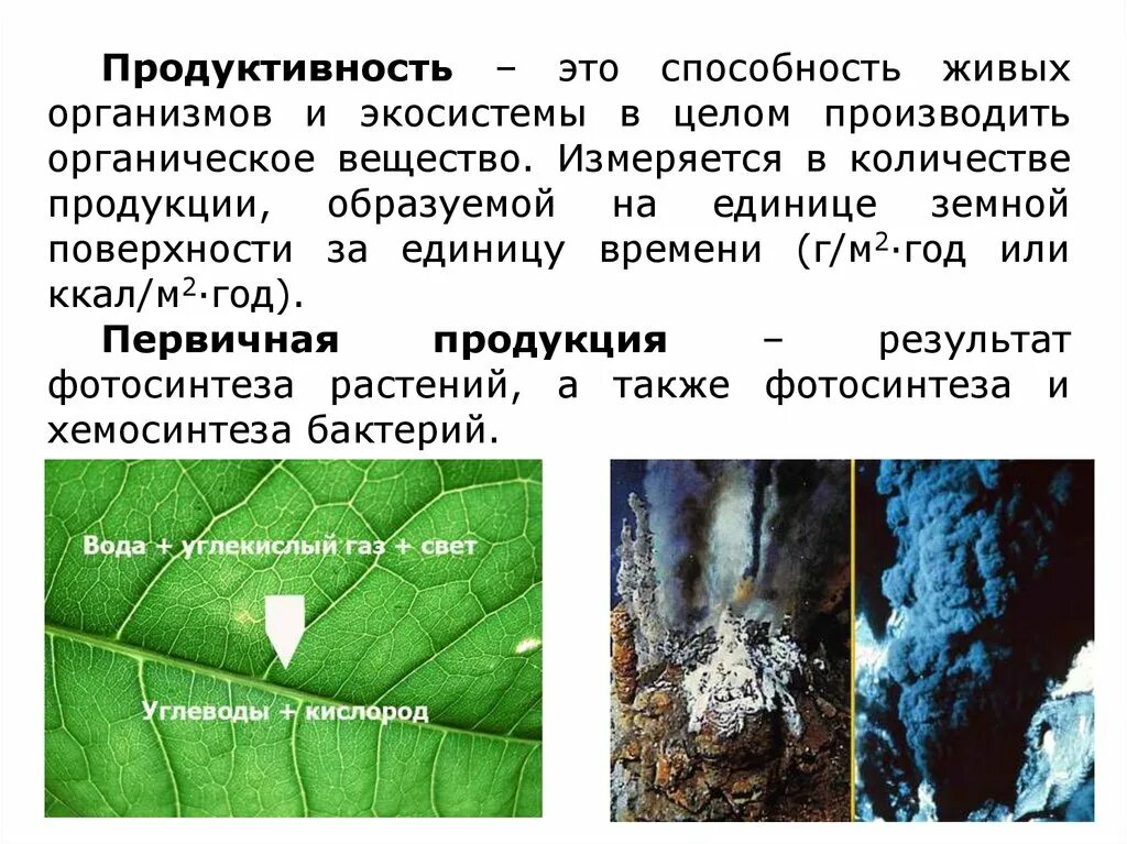 Функционирование сообщества экология это. Источники энергии для жизнедеятельности клеток. Трофическая структура биогеоценоза это. Животные питаются готовыми органическими веществами. Автотрофы большинства экосистем - это.