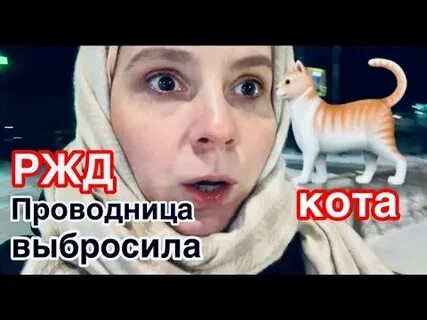 Видео как проводница выкидывает кота