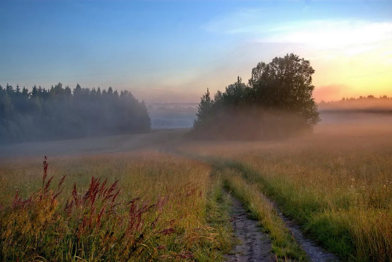 Неброской русской природы. Утренний пейзаж. Август пейзаж. Июньский рассвет. Раннее летнее утро.