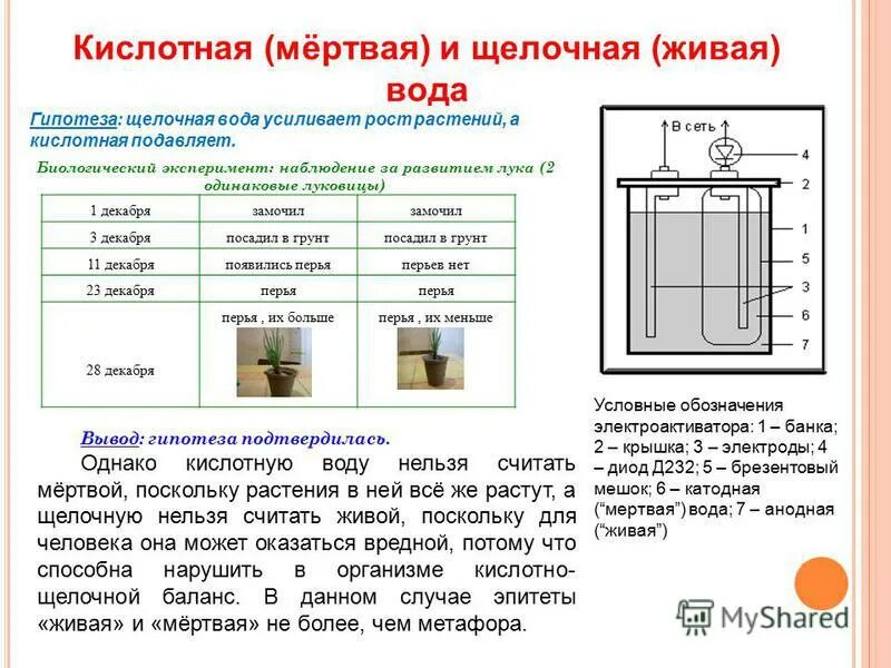 Схема прибора живой и мертвой воды. Живая и мертвая вода. Живая и мёртвая вода аппарат. PH воды живой и мертвой воды. Как получить щелочную воду в домашних условиях