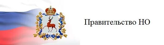 Правительство нижегородской. Нижний новгород гжи. Государственная жилищная инспекция. Нижегородская область контакты. Нижегородская область контакты.