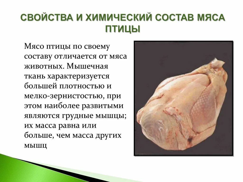 Презентация на тему мясо птицы. Мясо домашней птицы для презентаций. Сообщение на тему мясо птицы. Характеристика мяса птицы.