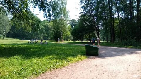 Квадроберы начали размножаться в парке санкт петербурга