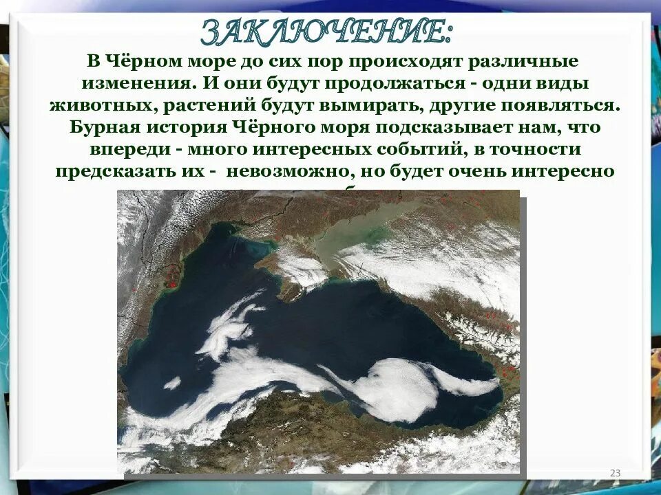 История про черного. Реферат черное море 4 класс. Рассказ о черном море. Заключение к презентации о черном море. Проект у чёрного моря 4 класс.
