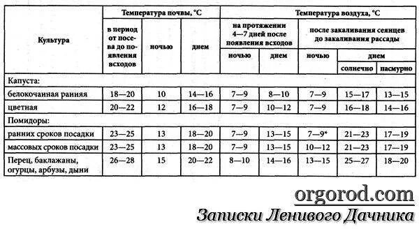 Температурный режим для рассады томатов в теплице. Температурный режим для выращивания томатов. Температура почвы для высадки рассады. Температурный график для выращивания рассады томатов.