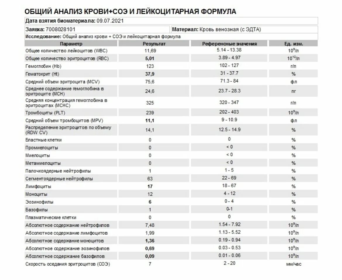 Палочкоядерные нейтрофилы в анализе. Палочкоядерные нейтрофилы в анализе крови что это такое. Палочкоядерные нейтрофилы ОАК. Клинический анализ крови палочкоядерные.