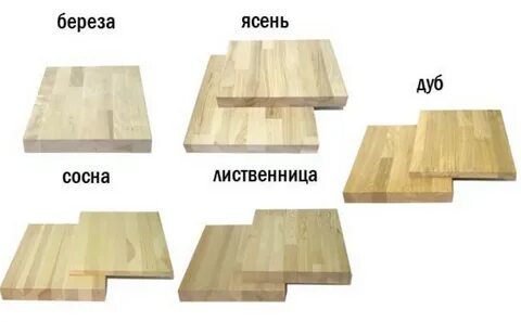 Дуб бук ликвидамбр составляют нижний пояс гор