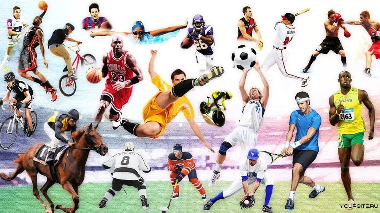 All sports in world