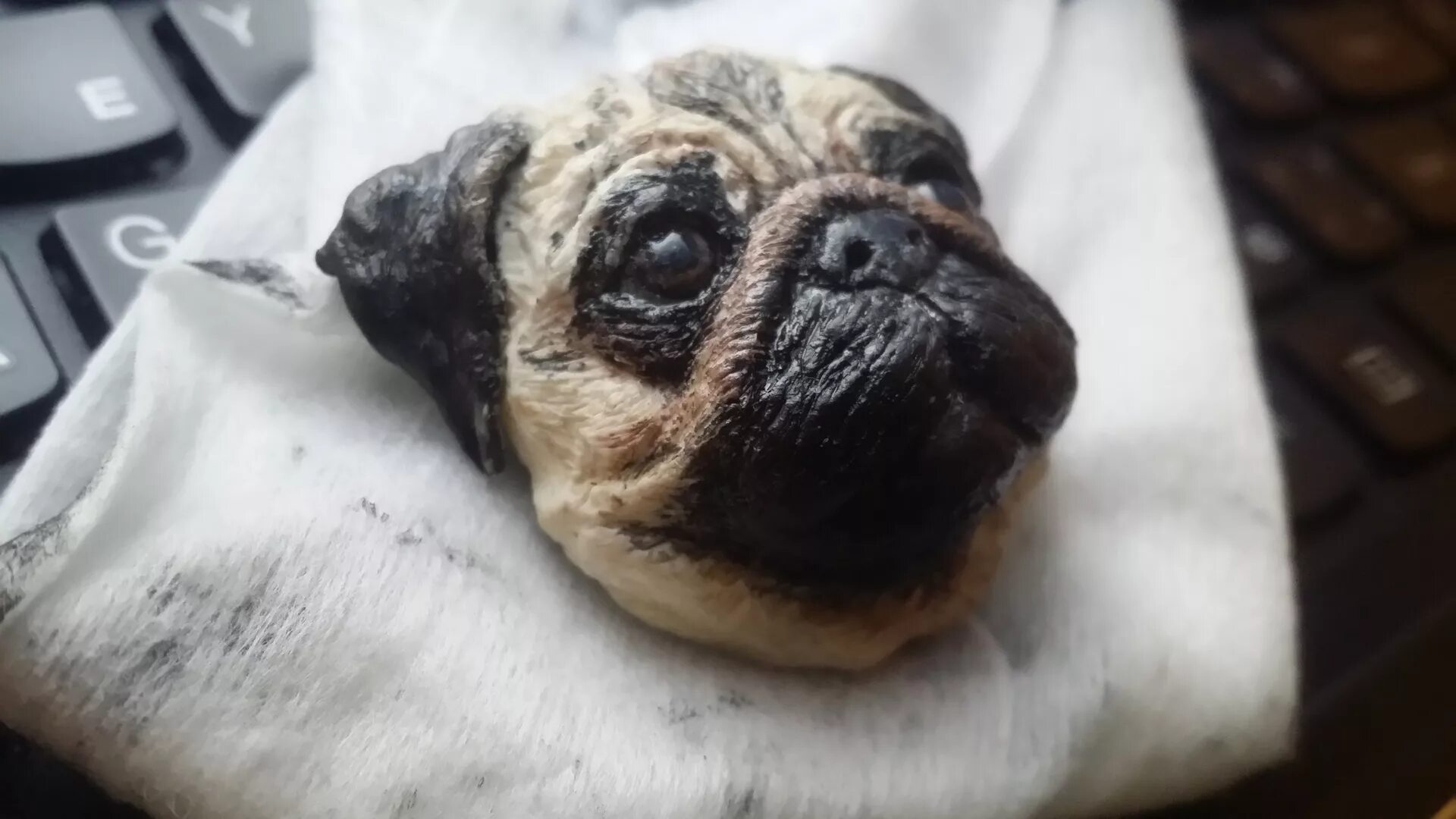 Мопс 80кг. Мопсики щенки крючком из плюшки. Умерший мопс. Фото умирающих мопсиков. Умерший мопс.