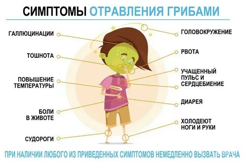 Симптомы отравления ядовитыми грибами
