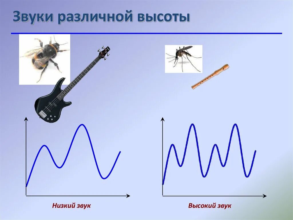 Высота звука. Высокие и низкие звуки. Низкий звук. Высота звука звука.