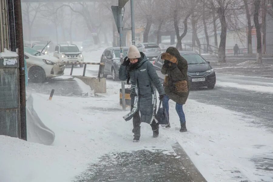 Метель Владивосток. Снегопад во Владивостоке. Снег Владивосток 11 ноября 2016. Метель сбивает с ног. Ни в пургу