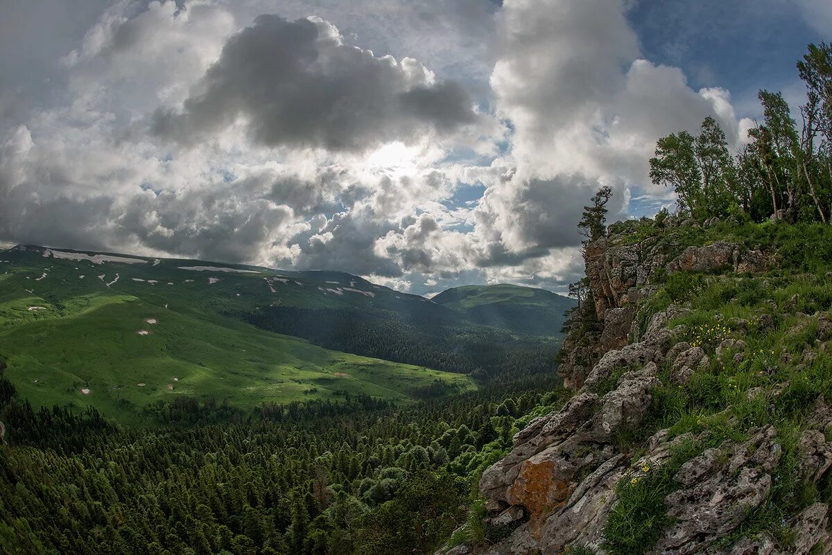 Плато Лаго-Наки Адыгея. Лагонакское Нагорье (плато Лаго-Наки). Лаго Наки Майкоп горы. Нагорье Лагонаки Адыгея. Камера лагонаки адыгея