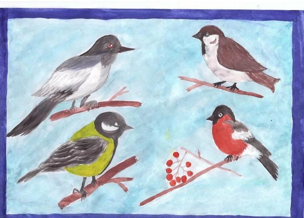 Занятие в подготовительной группе красная книга. Рисование зимующие птицы. Рисование птицы в подготовительной группе. Рисование зимующие птицы средняя группа. Рисование зимующие птицы подготовительная группа.