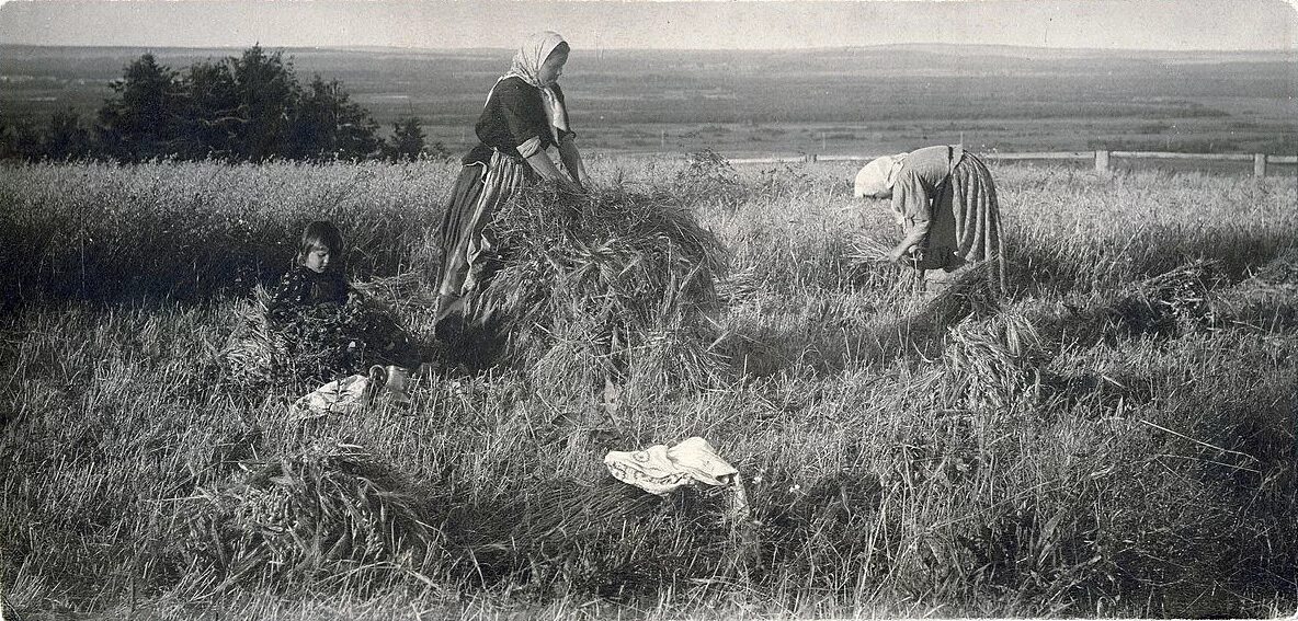 сословия в древней руси. наследник крестьянского хозяйства. сельское хозяйство после отмены крепостного права. презентация о крестьянстве. крестьяне в поле 19 век.