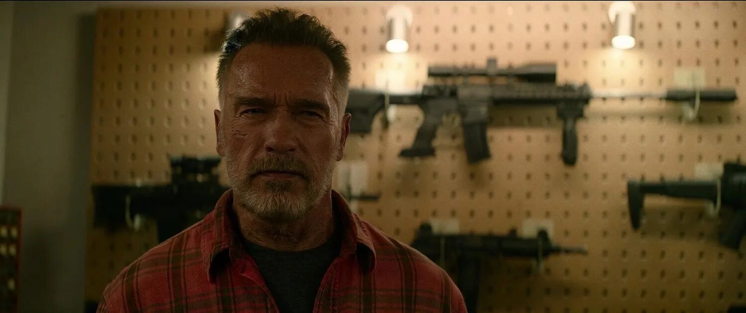 Терминатор. Тёмные судьбы Terminator. Dark Fate (2019). Шварценеггер Терминатор 2019.