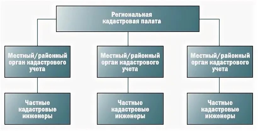 Формы кадастровой деятельности. Принципы проведения государственной кадастровой оценки. Структура кадастрового аудита. Структура кадастрового номера. Кадастровая оценка структура.