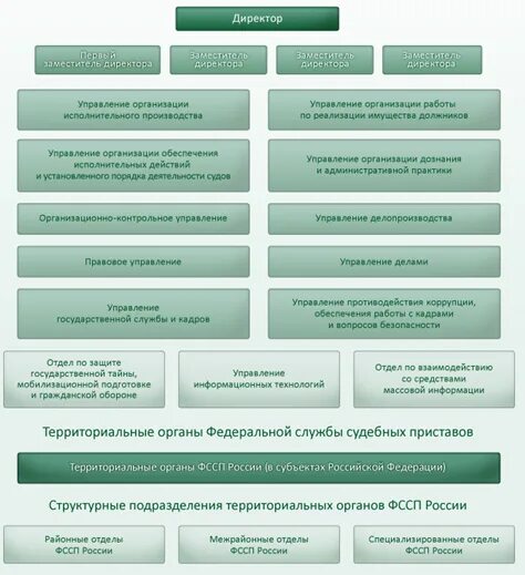 Фссп статус обращения. Структура ФССП России схема. Организационная структура службы судебных приставов схема. Схема органов ФССП России. Организационная структура Федеральной службы судебных приставов.