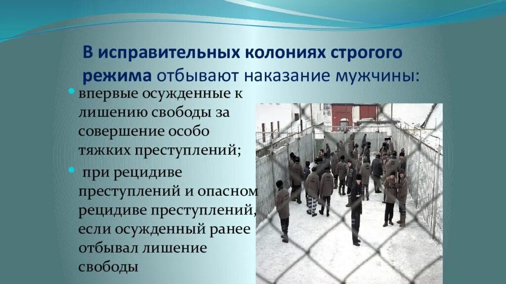 Колония общего режима. Преступность в исправительных учреждениях. Режимы и условия отбывания наказания. Виды наказание и колониях. Рецидив у мужчин