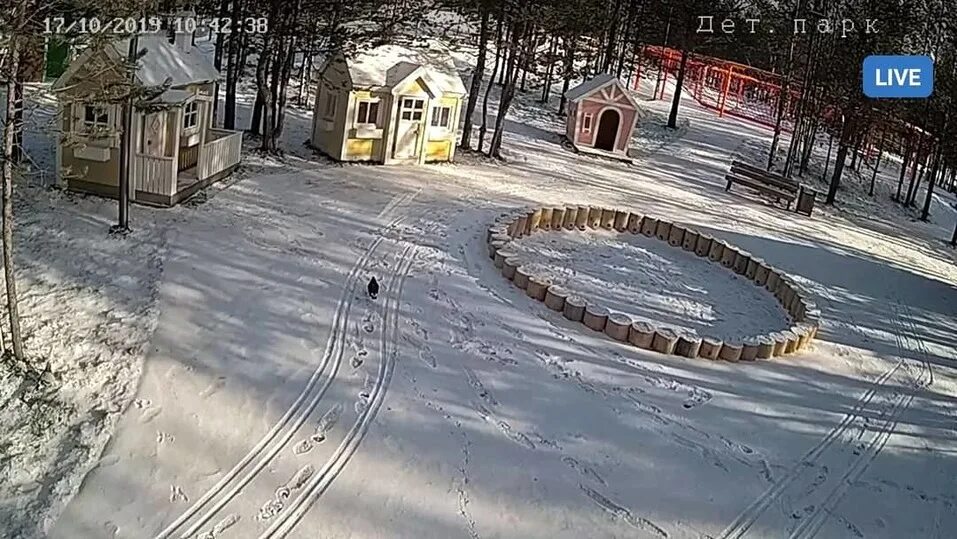 Камера в ноябрьске. Камеры в ноябрьске парк. детский парк ноябрьск. камеры ноябрьск. парк победы ноябрьск.