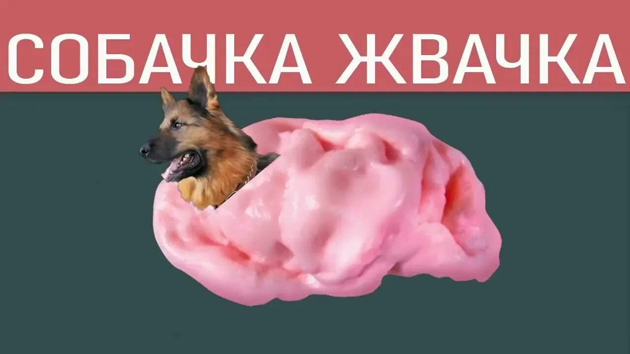 Мышка сосиска туц тудуц собачка. Собачка жвачка. кошка сосиска собачка жвачка. мышка сосиска собачка жвачка кошка картошка куку я немножко. собачка жвачка картинки.