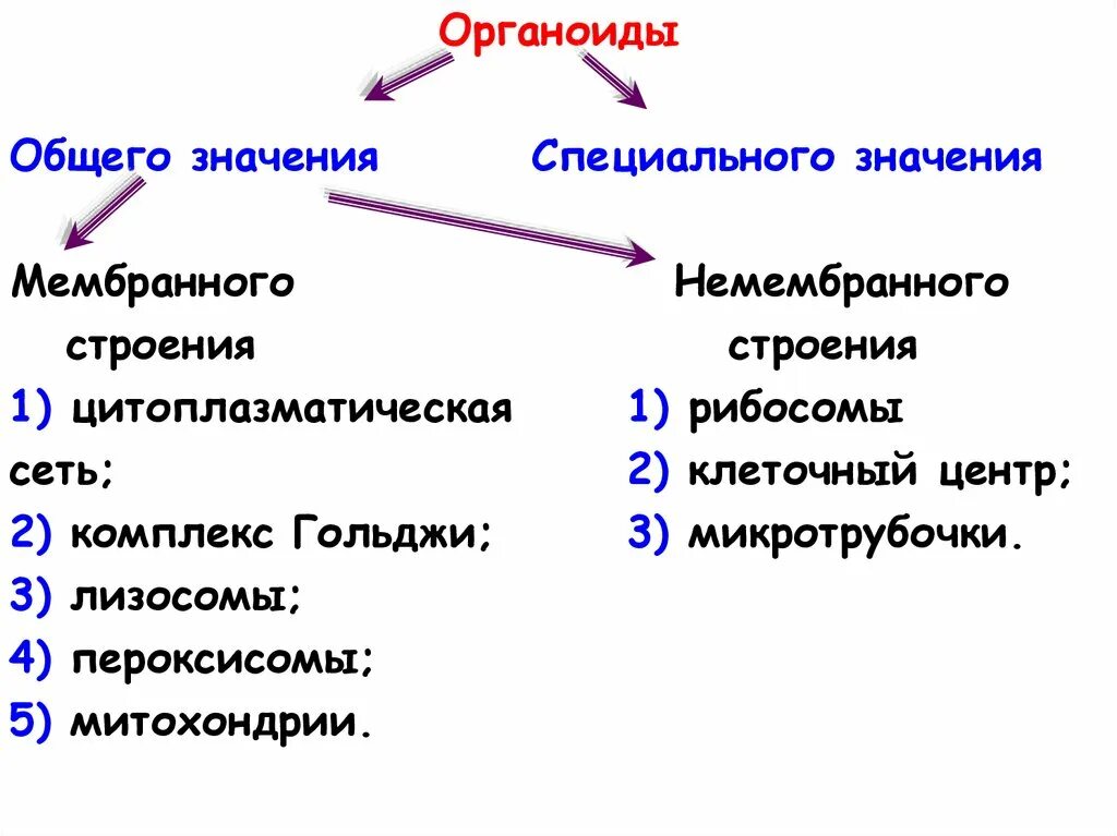 Мембранные и немембранные органоиды клетки. Классификацию органелл: мембранные не мембранные. Органеллы общего значения. Органоиды общего значения. Строение клеток мембранные органоиды