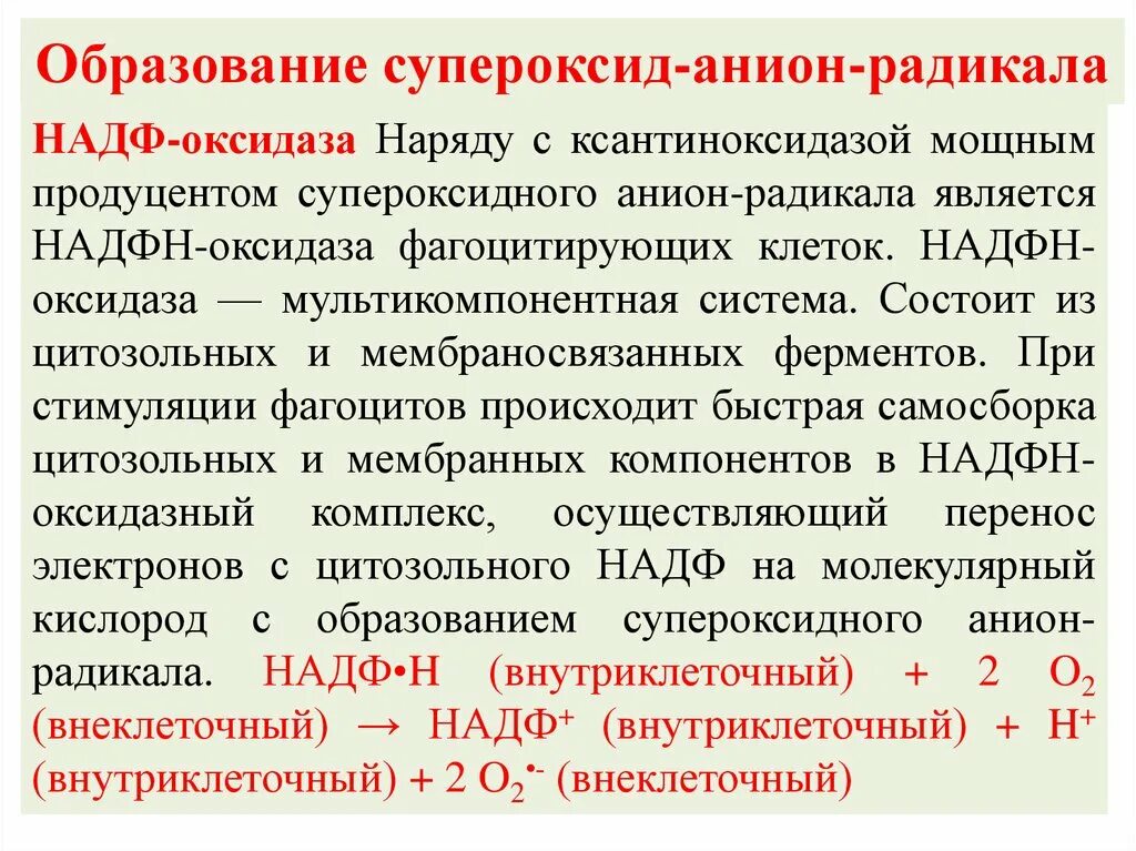 Супероксид. Реакцию образования супероксид-анион-радикала. супероксидный анион-радикал. образование супероксидного анион радикала. супероксид радикал.