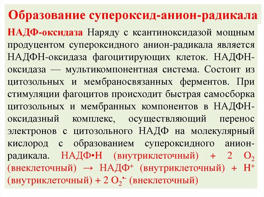 Реакцию образования супероксид-анион-радикала. Супероксидный анион-радикал. Образование супероксидного анион радикала. Супероксид радикал. Анион радикал